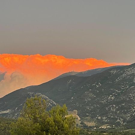 Les Terrasses Du Ventoux Lägenhet Mollans-sur-Ouvèze Exteriör bild