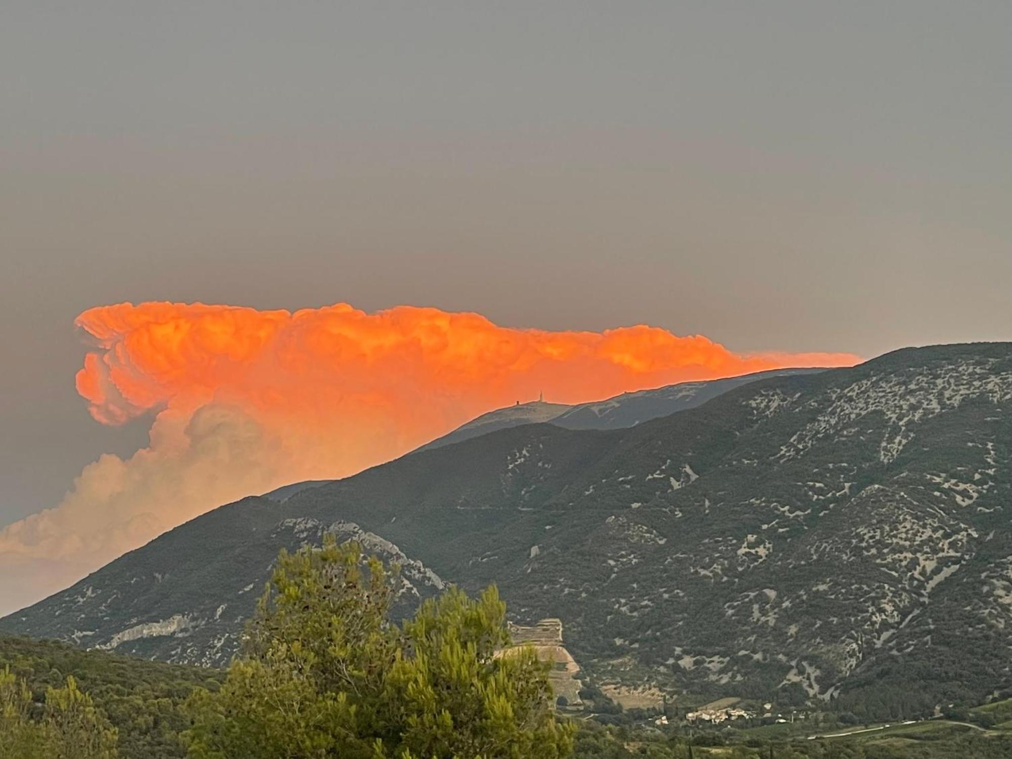 Les Terrasses Du Ventoux Lägenhet Mollans-sur-Ouvèze Exteriör bild